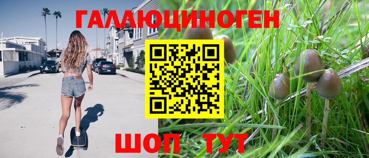 Псилоцибиновые грибы ЛСД Ржев