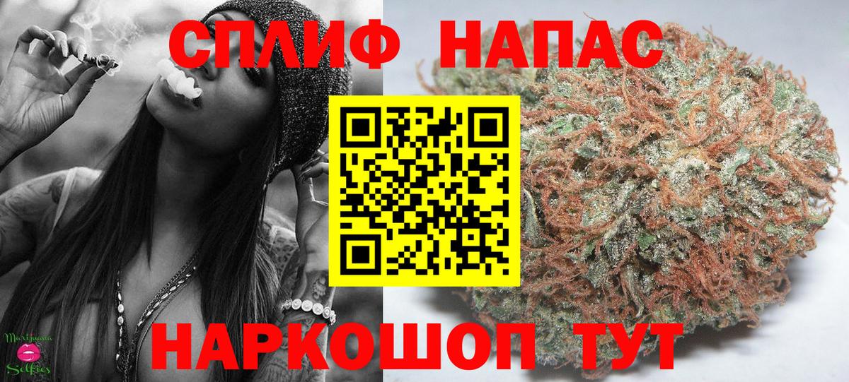 Ржев  Шишки марихуана тримм  Шишки марихуана конопля  Вход с VPN 